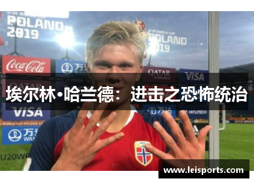 埃尔林·哈兰德:进击之恐怖统治 埃尔林·哈兰德:进击之恐怖统治