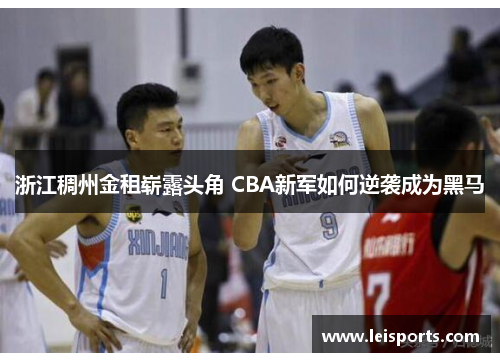 浙江稠州金租崭露头角 CBA新军如何逆袭成为黑马 浙江稠州金租崭露头角 CBA新军如何逆袭成为黑马